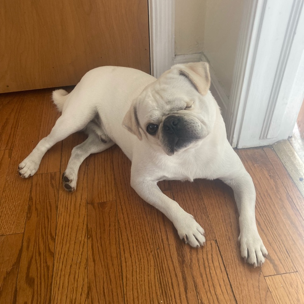 Meet your Posher, Marina